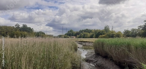 Obraz Little tidal stream waik