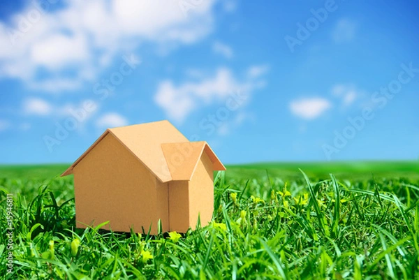 Obraz 草原に建つ家