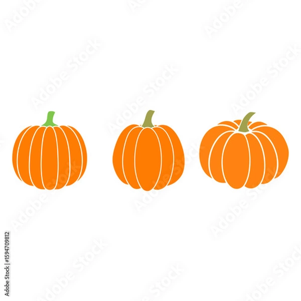 Fototapeta vector illustration of a pumpkin set