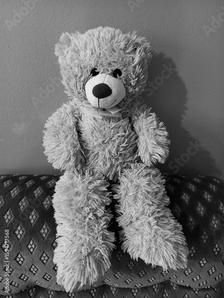 Obraz teddy bear on the couch