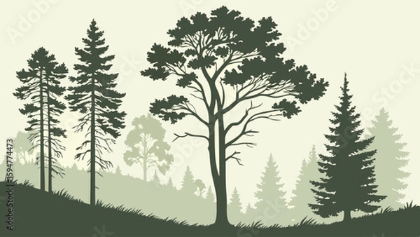 Fototapeta Detailed green forest silhouette vector illustration featuring diverse pine and broadleaf trees on rolling hills, a serene natural woodland landscape design background art.