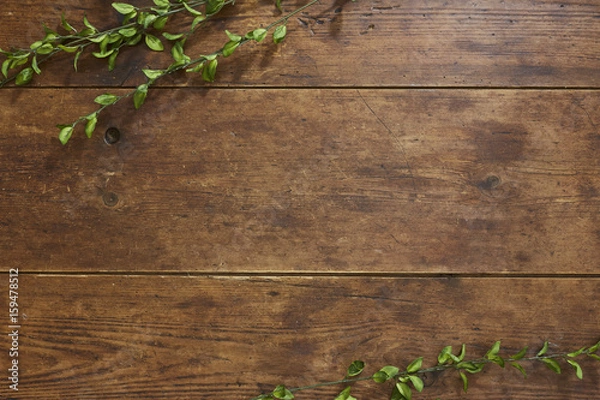 Fototapeta Tree branch on rustic wood background