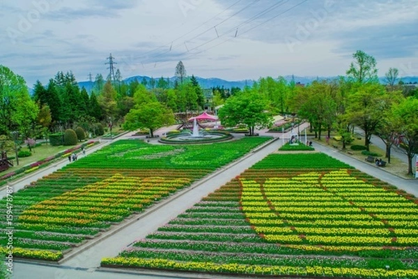 Obraz 花の地上絵