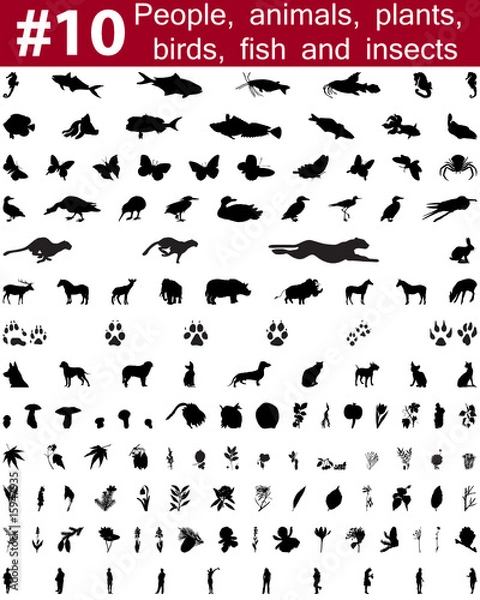 Obraz vector silhouettes set. Set # 10
