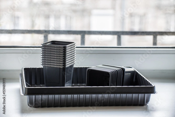 Obraz New empty plastic containers for vegetable seedlings on the windowsill