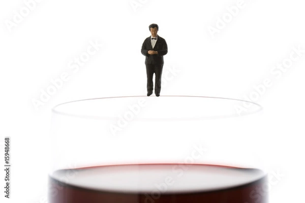 Fototapeta ウェイター