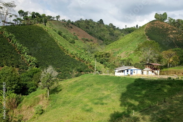 Obraz A traditional coffee finca in Salento, Colombia