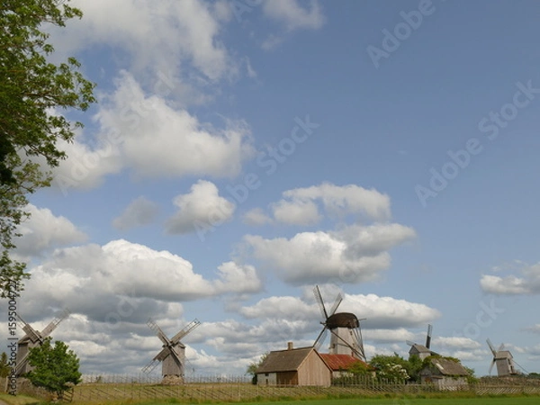 Fototapeta Windmühlenhügel, Insel Saaremaa, Angla, Estland