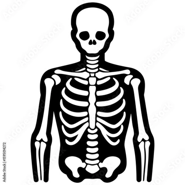 Obraz X ray line art vector illustration 