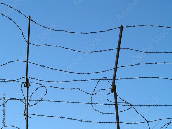 Fototapeta barbed wire