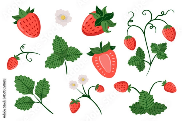 Fototapeta Strawberry set. Red strawberries with flowers and leaves on white background. Juicy summer berries. Vector illustration.