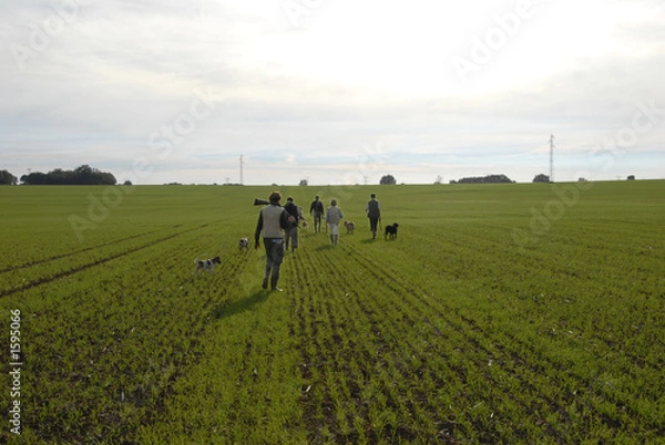 Obraz départ pour la chasse
