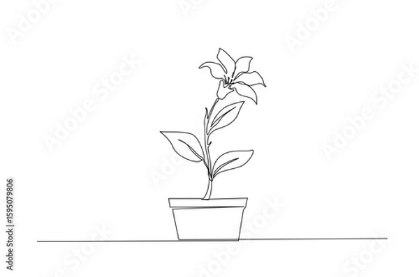Fototapeta Potted houseplant flowers in continuous one line drawing. Single line art illustration of flower in pot.