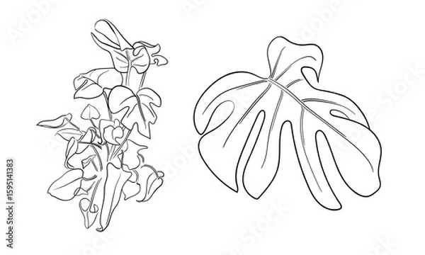 Fototapeta Monstera sprigs set, continious line drawing. Exotic monstera set branches outline. Vector illustration