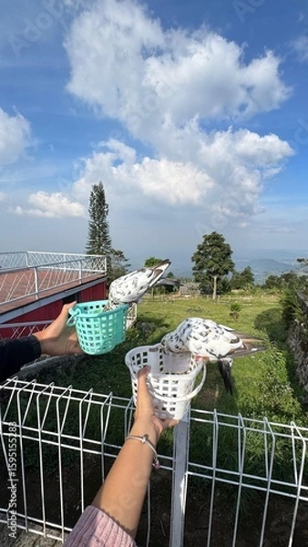 Fototapeta Skyward Basket: Two pairs of hands gently hold baskets towards the beautiful sky, creating a surreal scene against nature.