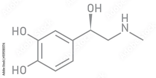 Fototapeta chemical structure of adrenaline or epinephrine.