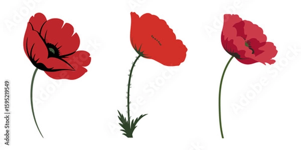 Fototapeta Tulip flowers vector icon set. Set of tulip silhouette icons and flower symbol. Vector illustration, Tulip Flower Vector Graphic Silhouette Pack, Tulip flower silhouette, white background.