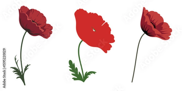 Fototapeta Tulip flowers vector icon set. Set of tulip silhouette icons and flower symbol. Vector illustration, Tulip Flower Vector Graphic Silhouette Pack, Tulip flower silhouette, white background.