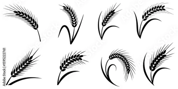 Fototapeta set of wheat ears, Wheat Ears Silhouette Set, A collection of eight black vector icons depicting various styles of wheat and rye ears with stalks, wheat icon, Grey Cereals icon set with rice, wheat.