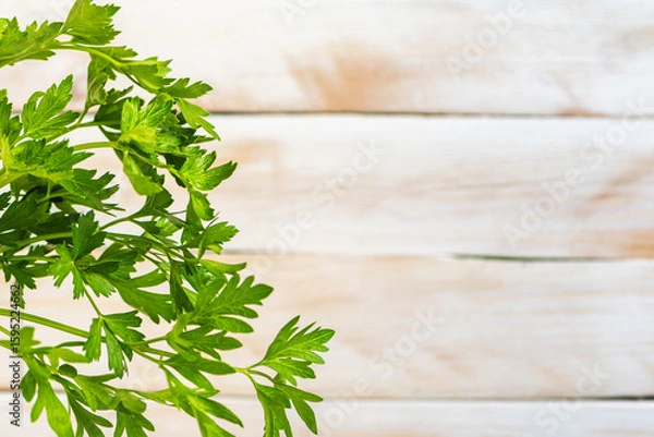 Fototapeta Parsley leaves and stems on one side with a blurred white wooden background, foreground composition with copy space.