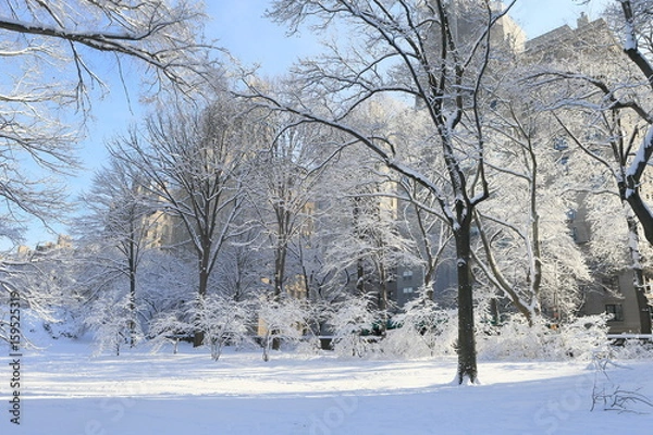 Fototapeta セントラルパーク　雪景色