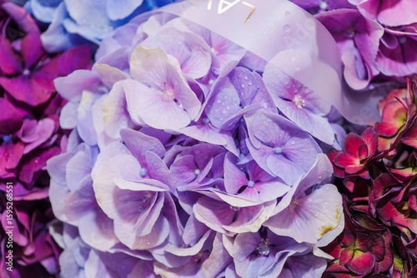 Obraz A luxurious bouquet of different shades of lilac hydrangeas. Bunch of many colorful fragrant flowers. Floristry and floral design concept. Floral texture