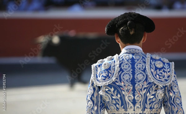 Obraz Torero
