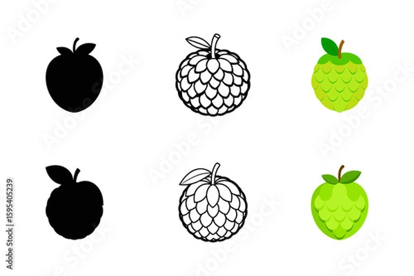 Obraz Set of custard apple silhouette vector ,line art illustration 
