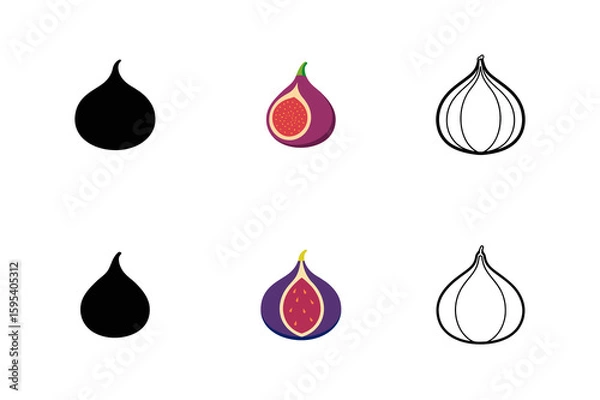 Obraz Set of fresh fig fruits silhouette vector outline drawing illustration