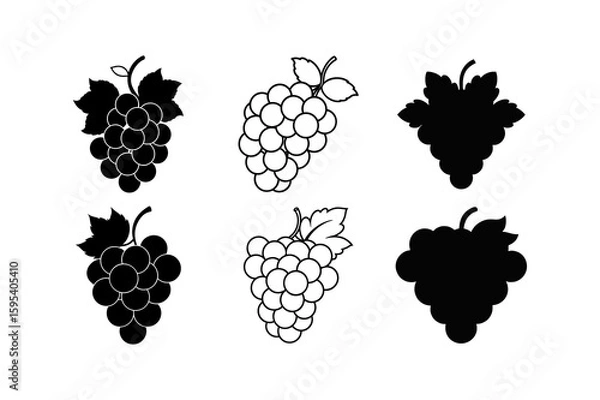 Obraz Set of grapes silhouette vector outline drawing illustration