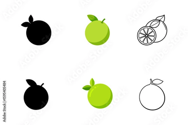 Obraz Set of lime silhouette vector ,line art illustration