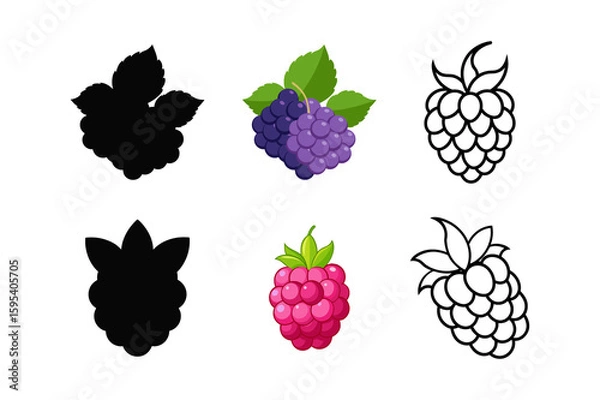Obraz set of raspberry silhouette vector line art illustration.