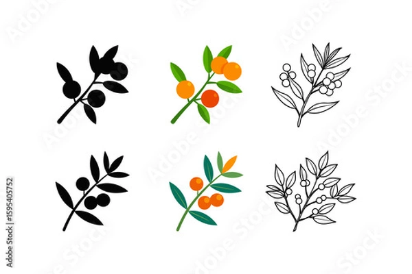 Obraz set of sea buckthorn silhouette vector line art illustration