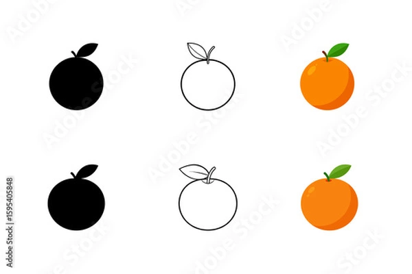 Obraz Set of orange fruits silhouette vector line drawing illustration