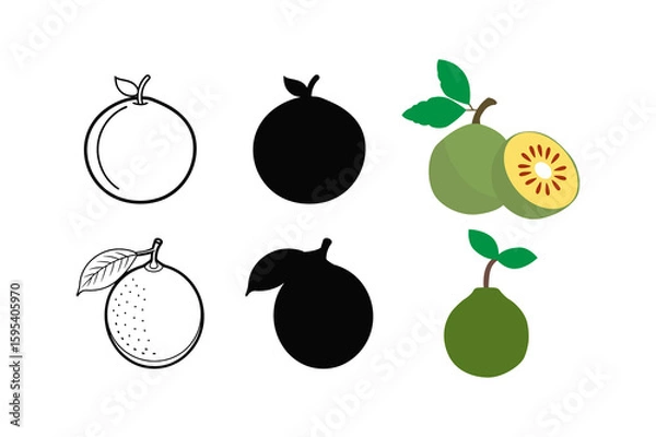 Obraz Set of Bael fruits vector illustration silhouette and line art illustration
