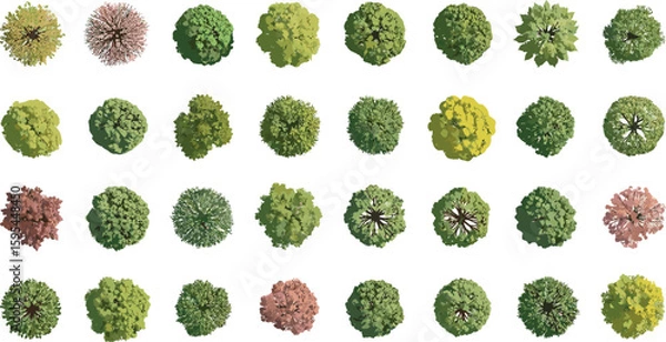 Obraz tree top watercolor hand drawn view isolated on white background for landscape plan and architecture layout drawing, elements for environment and garden