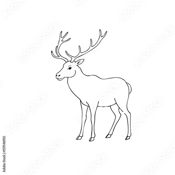 Fototapeta Caribou simple line sketch of a standing deer with antlers  