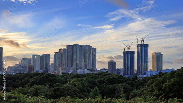 Fototapeta 東京湾岸タワマン林立　真夏の朝