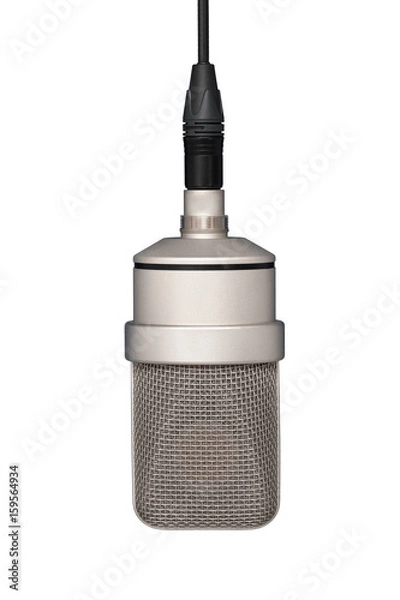 Obraz Professional microphone hanging on the cable, mic