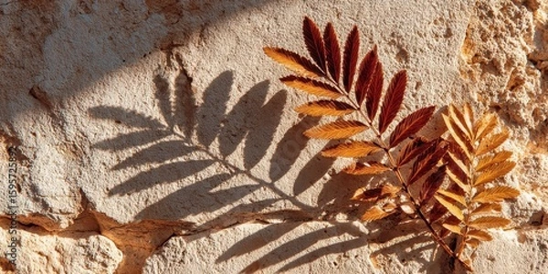 Fototapeta Golden Hour Sunlight Casts a Dramatic Shadow of Autumn Leaves on a Rustic Stone Wall