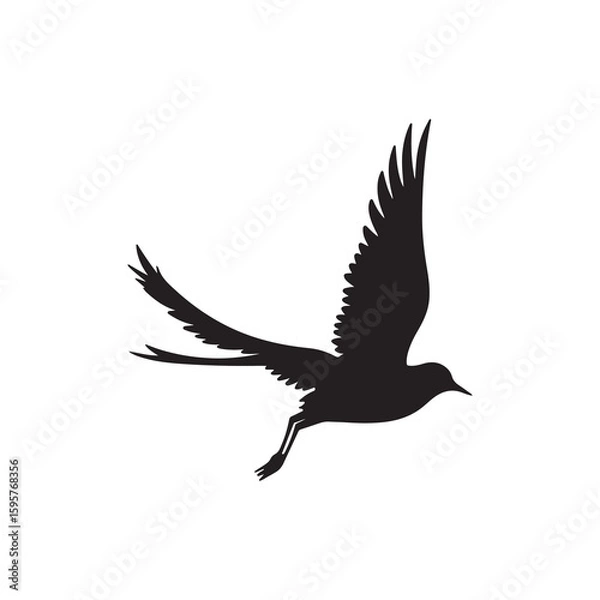 Fototapeta Elegant Silhouette of a Bird in Flight