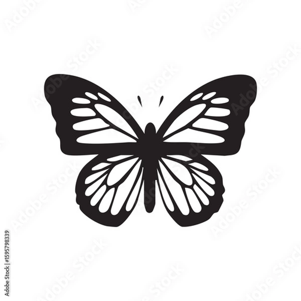 Fototapeta Detailed black butterfly silhouette with open wings and decorative cutout patterns on white background