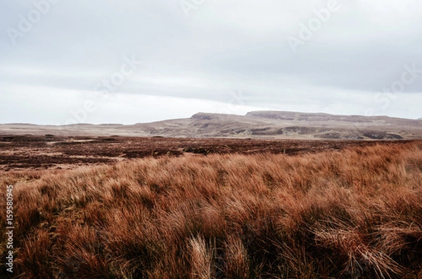 Obraz scottish meadow, isle of skye, scotland,