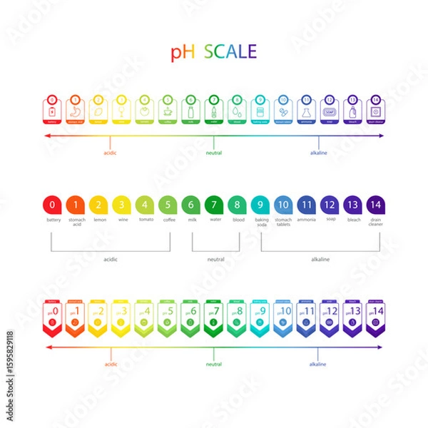 Fototapeta PH value Scale chart. Liquid level, litmus color change. Ph food analysis or chemical test. Set of Vector illustrations in flat style.
