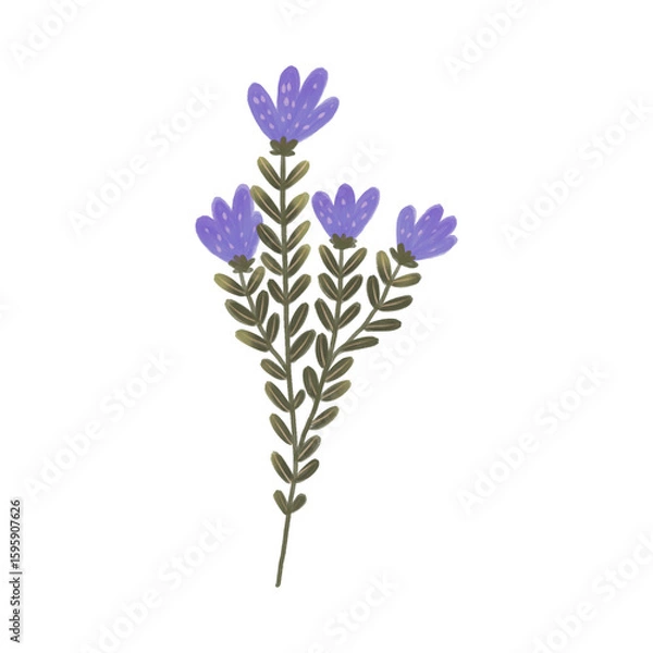 Fototapeta Flowers Elements 