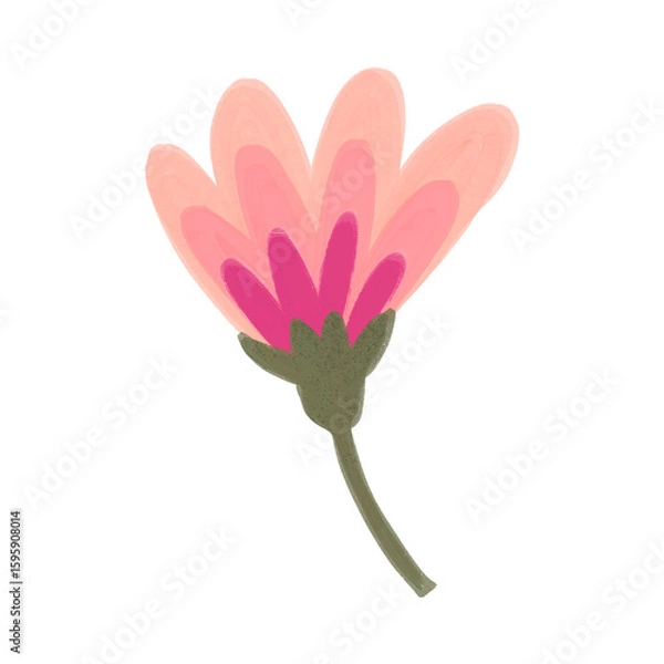 Fototapeta Flowers Elements 