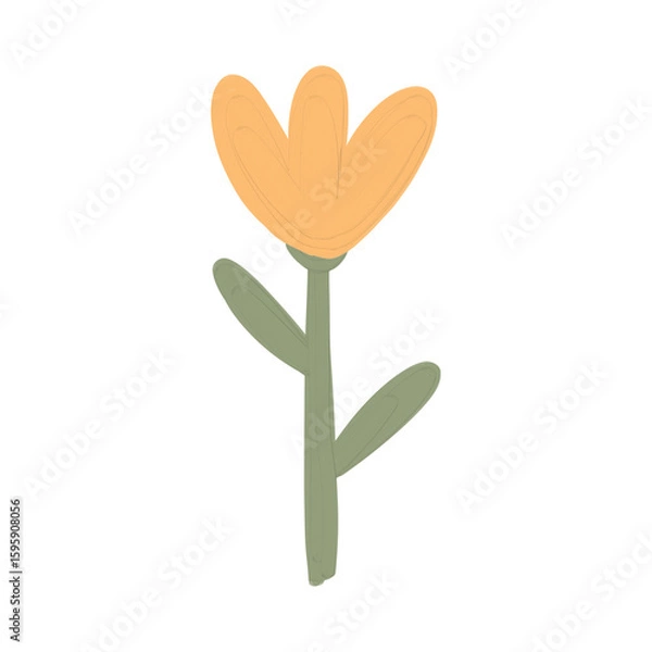 Fototapeta Flowers Elements 