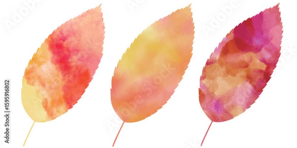 Fototapeta 紅葉　葉　秋　アイコン