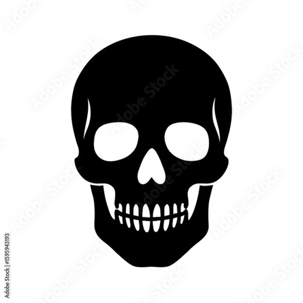 Fototapeta human skull vector illustration silhouette