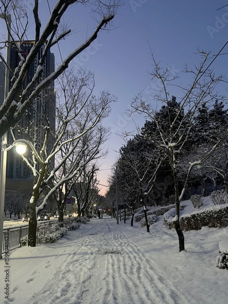 Fototapeta 해질녘, 눈이 쌓인 겨울날의 도시 산책로
